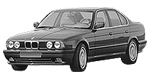 BMW E34 P1187 Fault Code